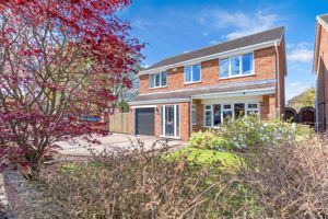 Photo 49- click for photo gallery